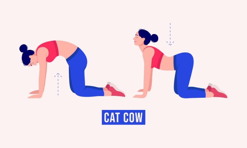 Cat-Cow Pose