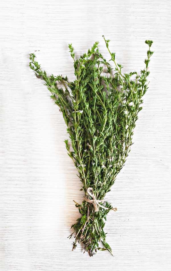 10. Thyme (Respiratory Guard)